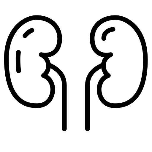 ledviny, prostata, sex